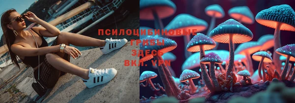 твердый Каменногорск