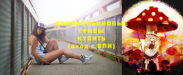твердый Каменногорск