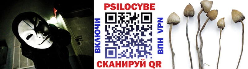 Купить  Нижнеудинск  Псилоцибиновые грибы Magic Shrooms 